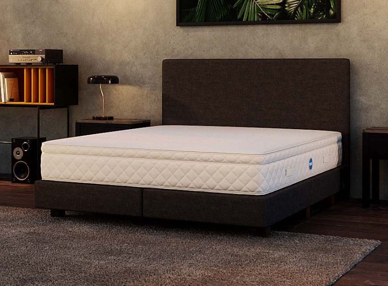 Sleepwell 12 inch on sale mattress price